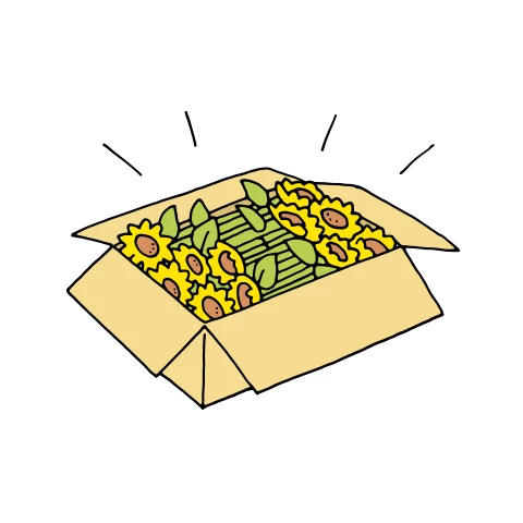 A box full of sunflowers illustration